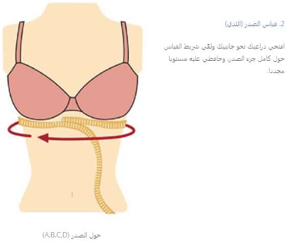 كيفية قياس صدريات النساء من lc waikiki الخطوة الثانية