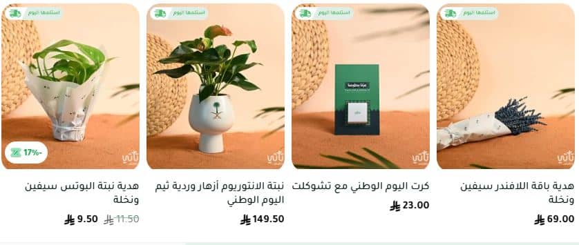 عروض نباتاتي لليوم الوطني 2025