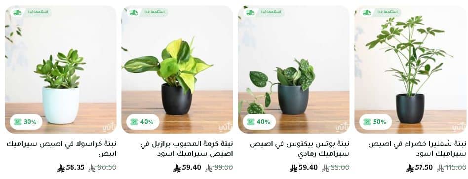 تخفيضات نباتاتي 2025 الجمعة الخضراء